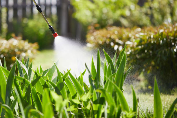 Tamper-Resistant Bait Stations for Rodents in Marion Center