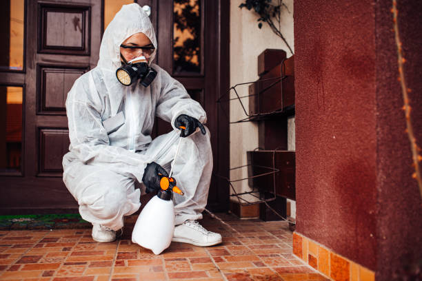 Attic and Crawl Space Rodent Treatment in Marion Center