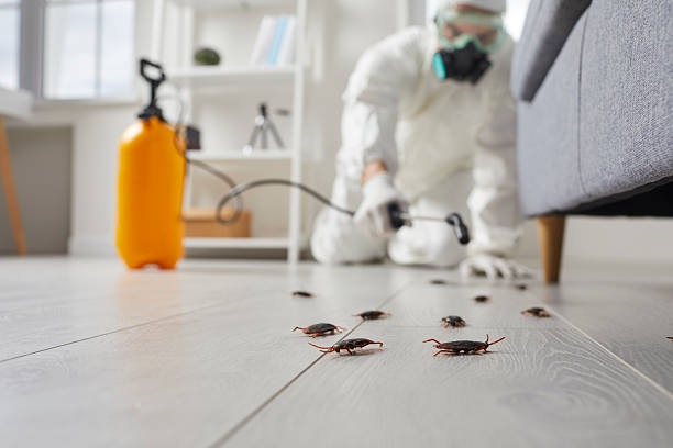 Commercial Rodent Management in Marion Center